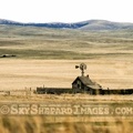 Prairie Homestead
