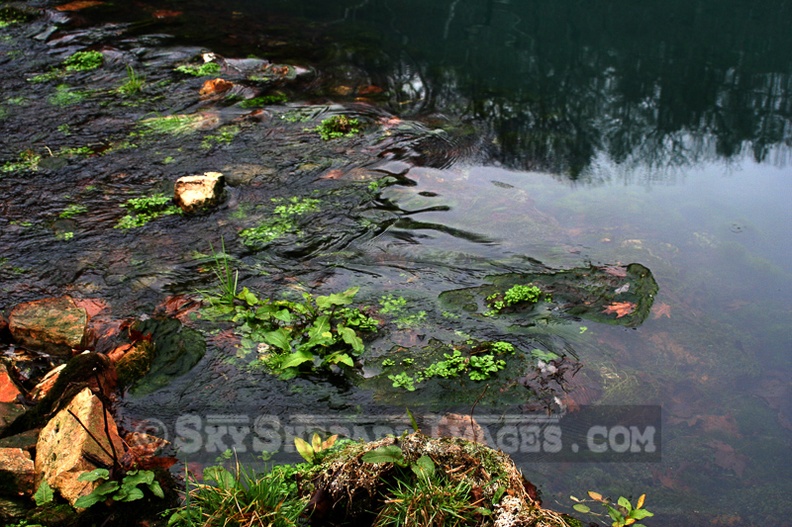 Rapids_in_Meramec_Springs_Creek.jpg