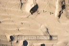 Beach Tracks