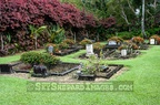 Maui Cemetery