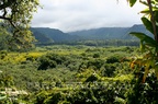 Valley View on Maui