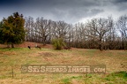 Rochester Prairie Cemetery