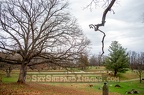 Rochester Prairie Cemetery North