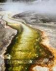 Hot Springs Flow in Yellowstone National Park