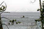 Island in Yellowstone Lake