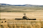 Prairie Homestead