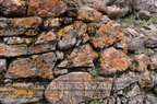Rock Wall near Yellowstone River
